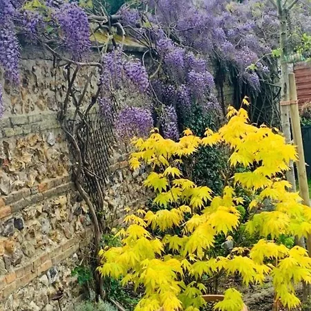 Le Jardin
